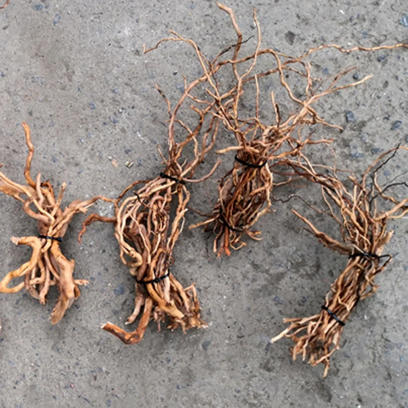 Aquarium Driftwood - Tronco di Legno Naturale per Acquario,