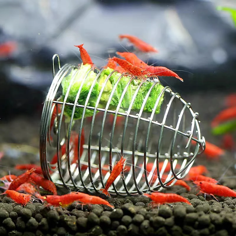Aquarium Fertilizer - Acquario in acciaio inossidabile Piccolo alimentatore