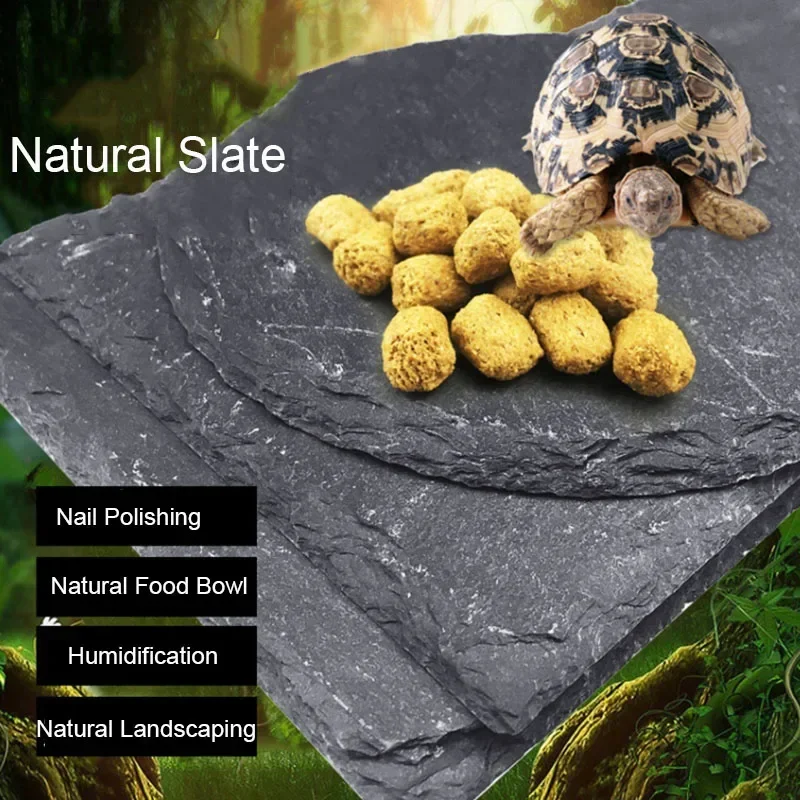Aquarium Driftwood - Natural Slate Aquarium Pet rettile Feeder
