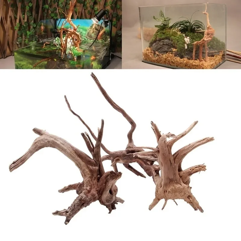 Aquarium Plant Substrate - Tronco d'albero naturale Driftwood acquario acquario