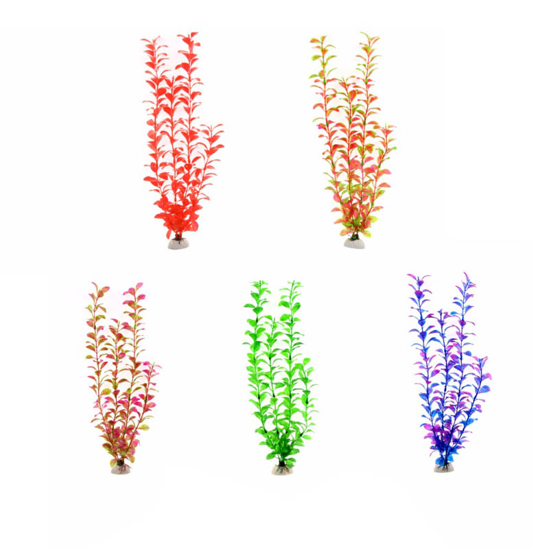 Aquarium Plants Live - Ornamento Accessori per acquari piante subacquee