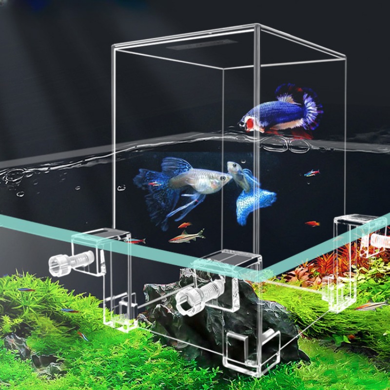 Plant Aquarium Pot - Serbatoi per acquari creativi serbatoio per