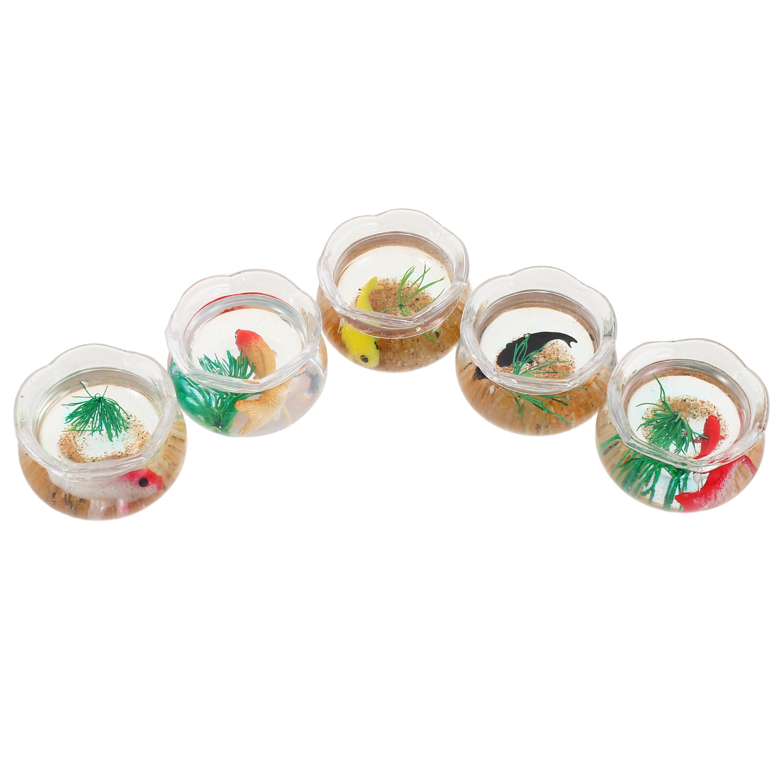 Planted Tank - Set da 5 mini acquari per