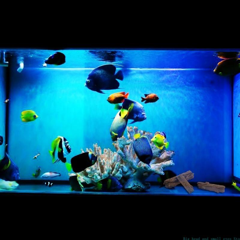 Decorazione acquario Tronco al - Aquarium Moss recensione e prezzo