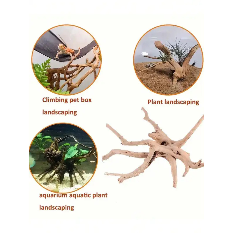 Legno Naturale per Decorazione - Aquarium Plants Live recensione e prezzo