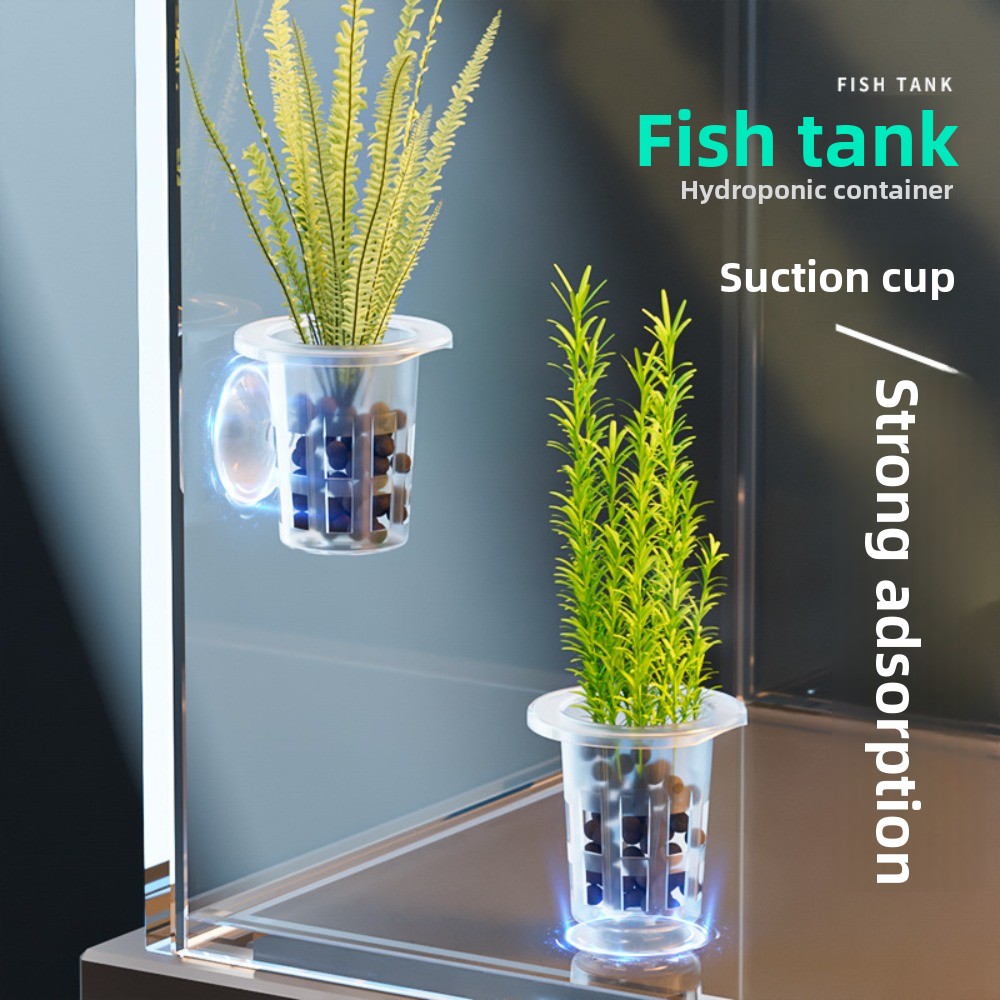 10 Pezzi Vasi Idroponici Trasp - Aquarium Plant Holder recensione e prezzo