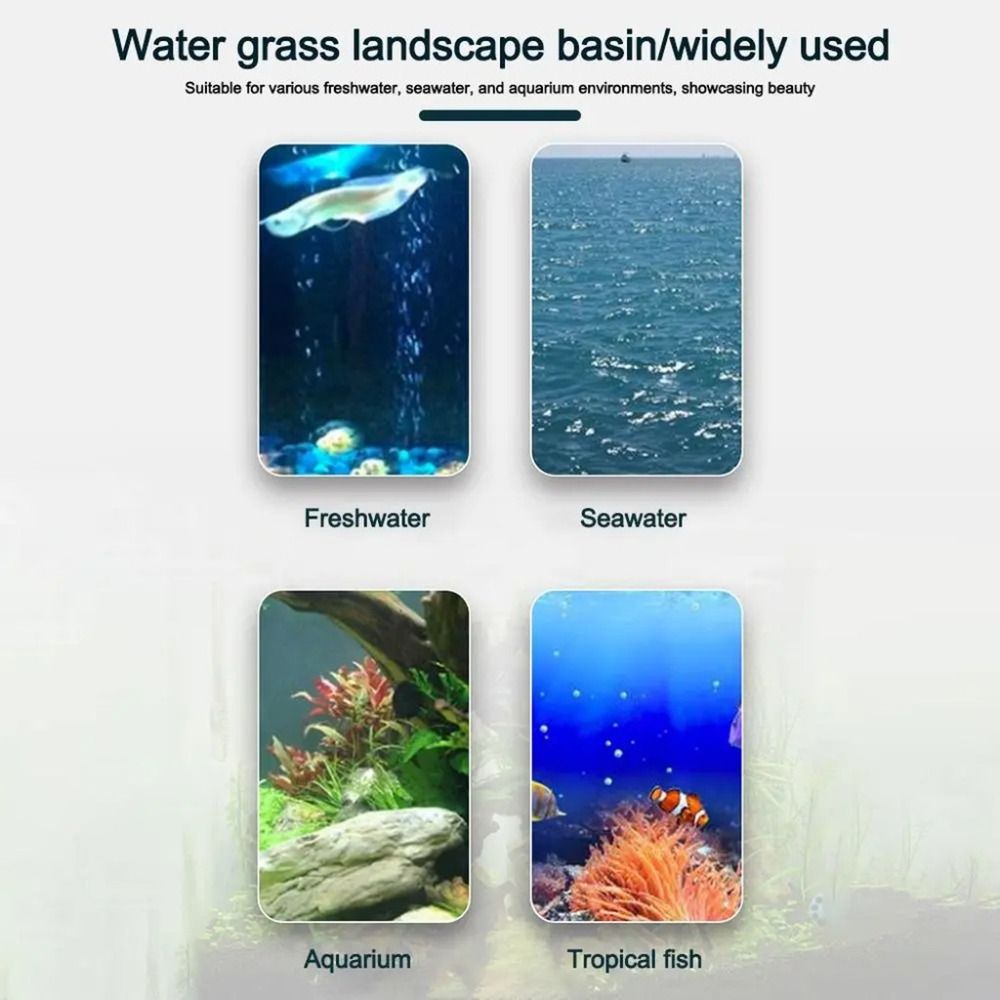 10 Pezzi Vasi Idroponici Trasp - Aquarium Plant Holder recensione e prezzo