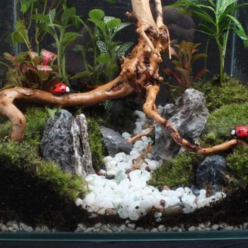 Tronco d'albero naturale Drift - Aquarium Plant Substrate recensione e prezzo