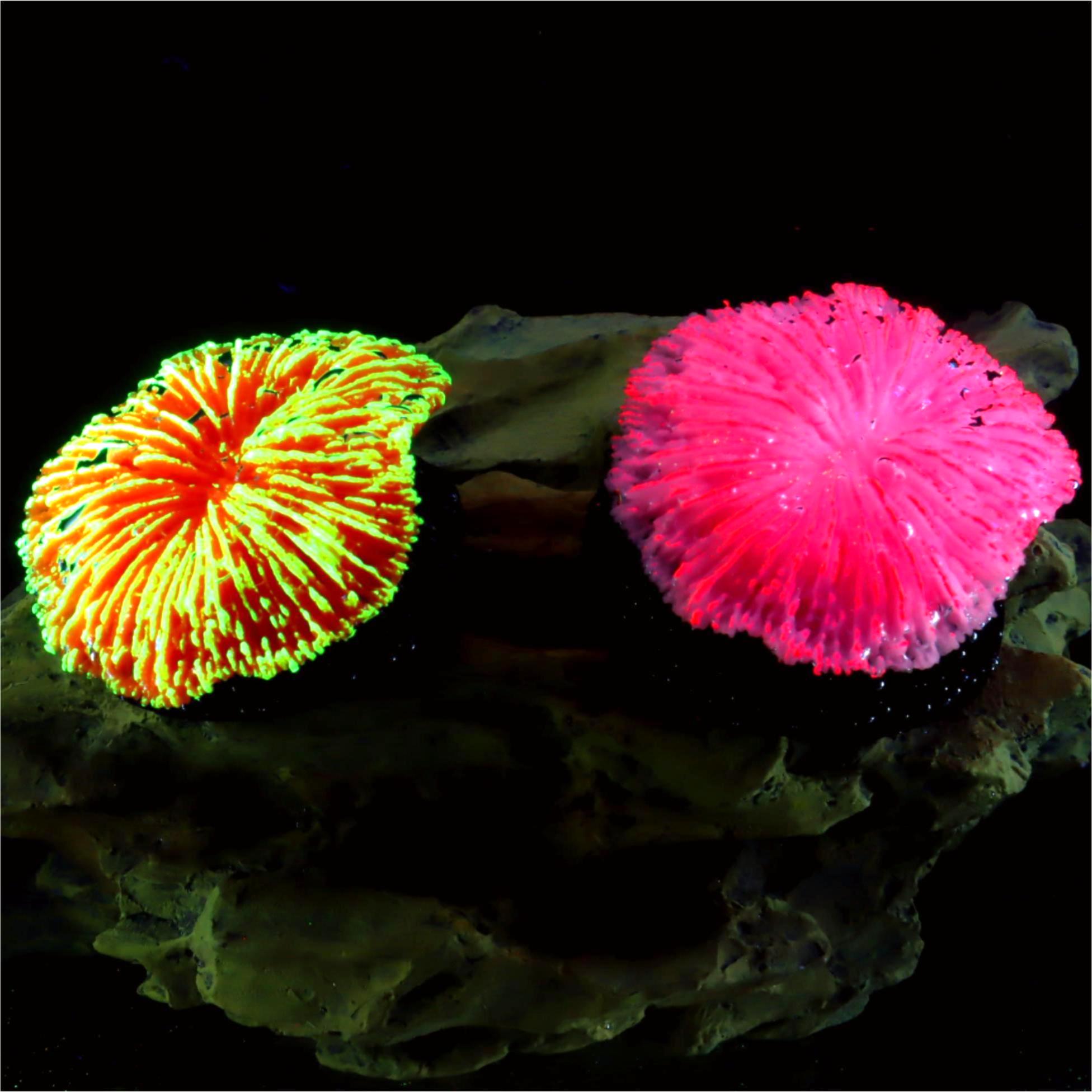 1 Pezzo Decorazione per Acquar - Aquarium Plants Live recensione e prezzo