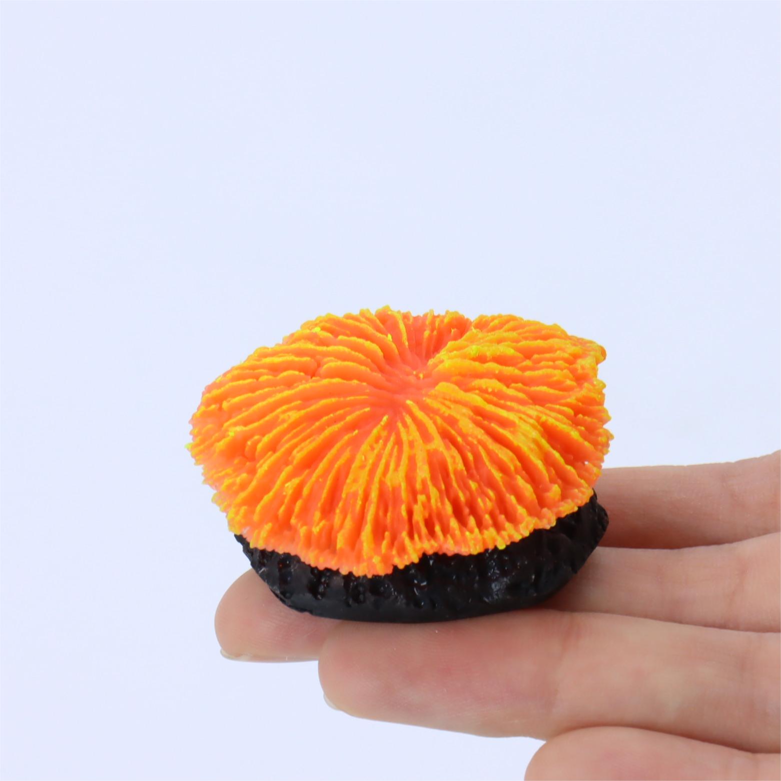 1 Pezzo Decorazione per Acquar - Aquarium Plants Live recensione e prezzo