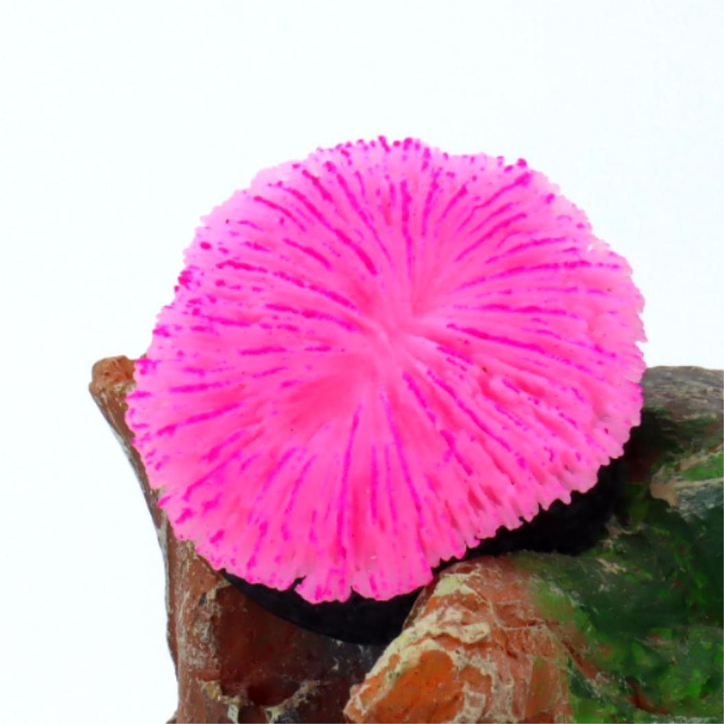1 Pezzo Decorazione per Acquar - Aquarium Plants Live recensione e prezzo