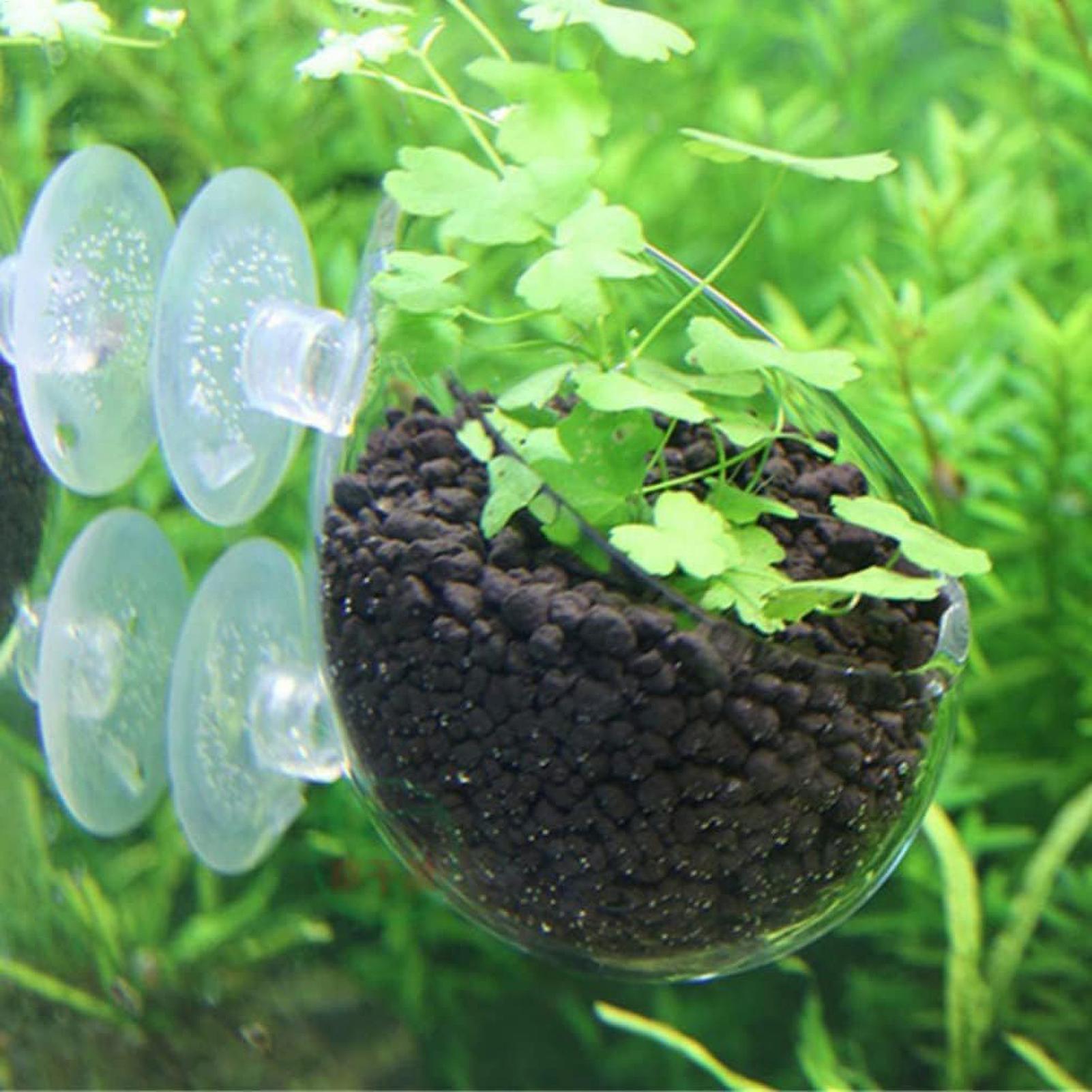 Supporto per Piante Acquatiche - Plant Aquarium Pot recensione e prezzo