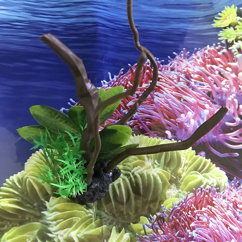 Decorazioni per acquari di pes - Aquarium Plants Live recensione e prezzo