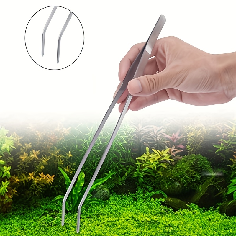 Pinzette in acciaio inossidabi - Planted Aquarium Cleaning recensione e prezzo