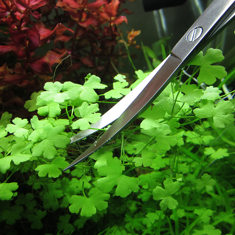 Accessori per acquari Strument - Planted Aquarium Cleaning recensione e prezzo