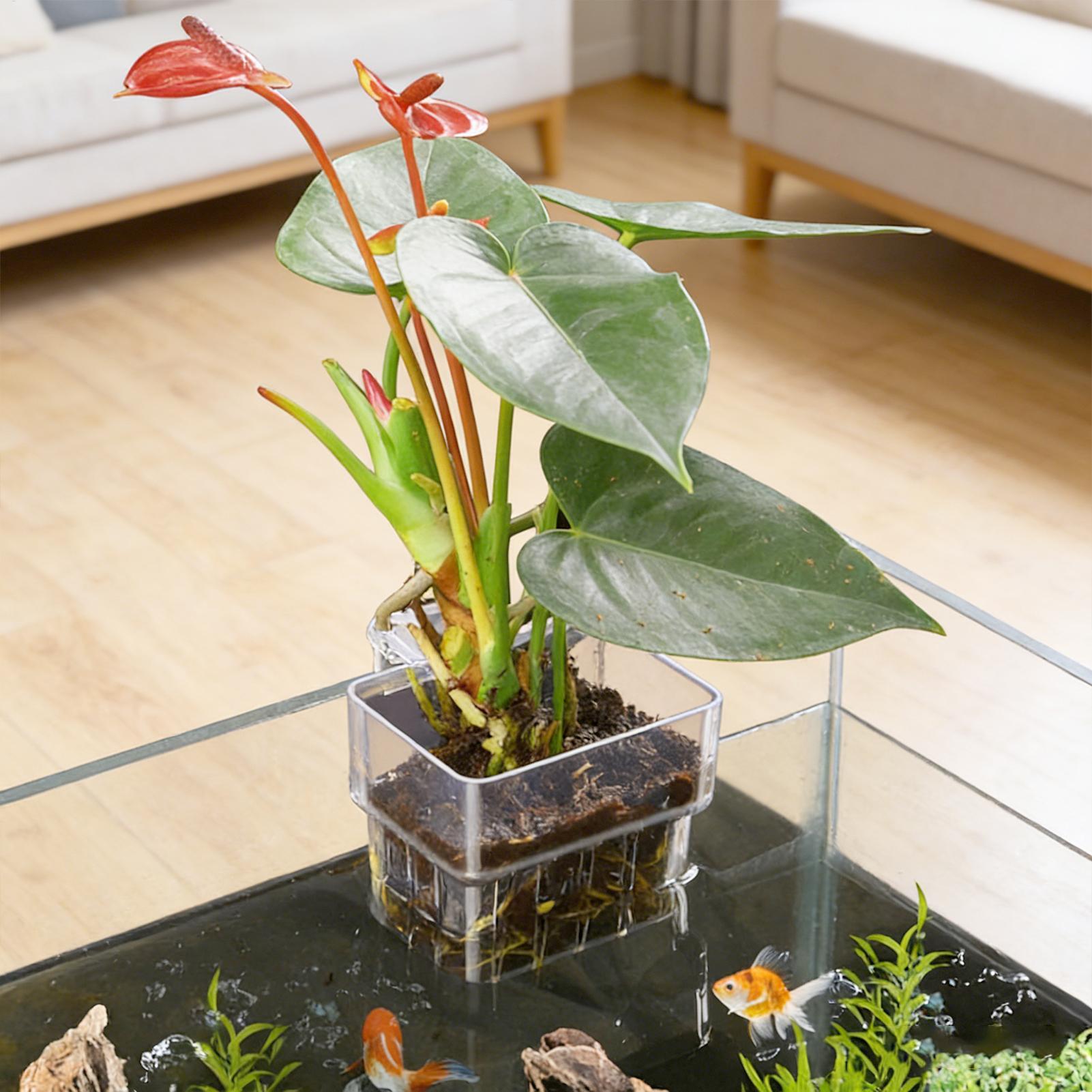 Cesto per Piante d'Acquario Tr - Aquarium Plant Holder recensione e prezzo