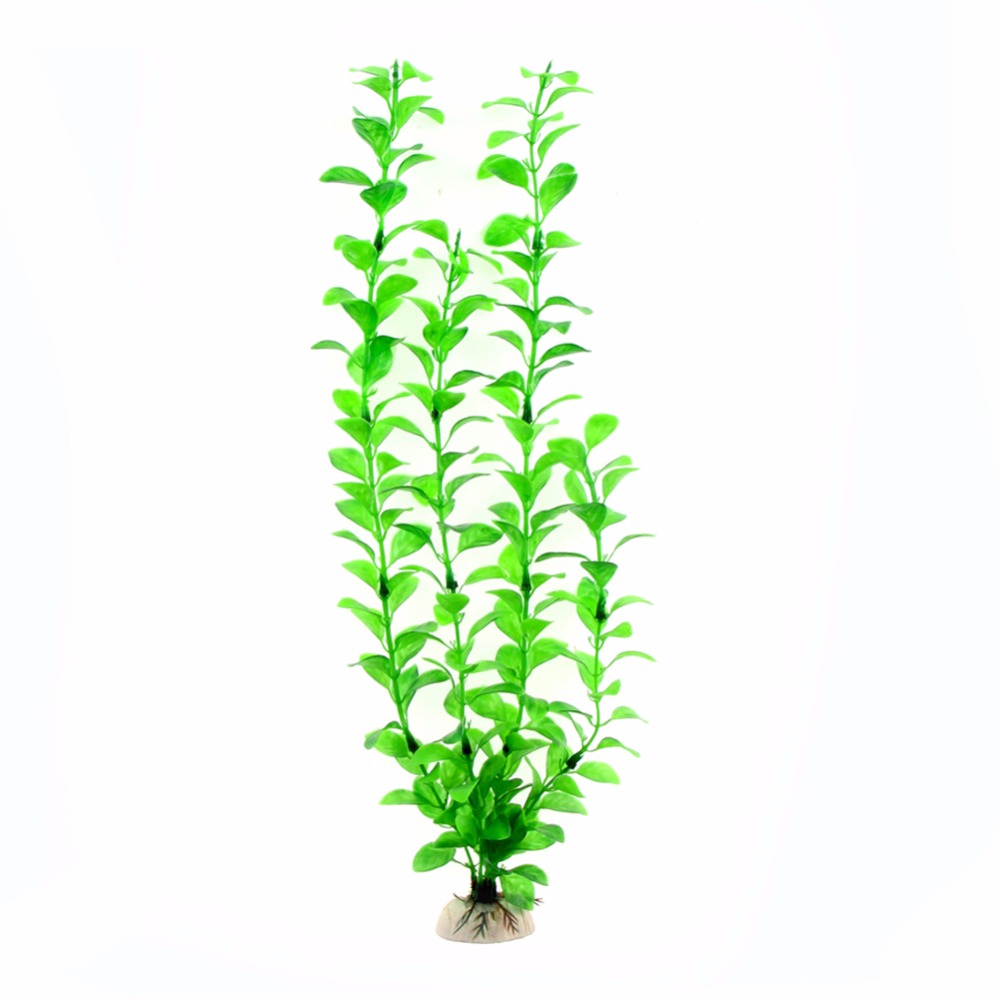 Ornamento Accessori per acquar - Aquarium Plants Live recensione e prezzo