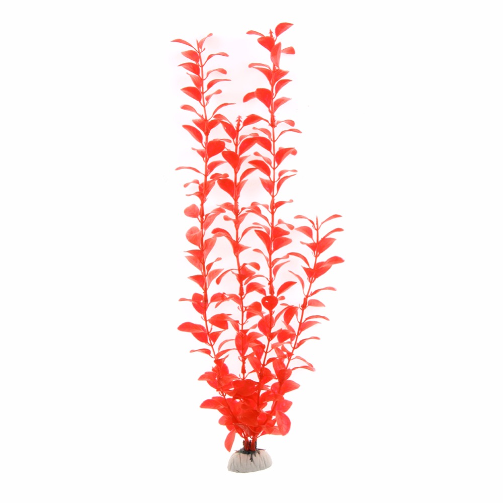 Ornamento Accessori per acquar - Aquarium Plants Live recensione e prezzo
