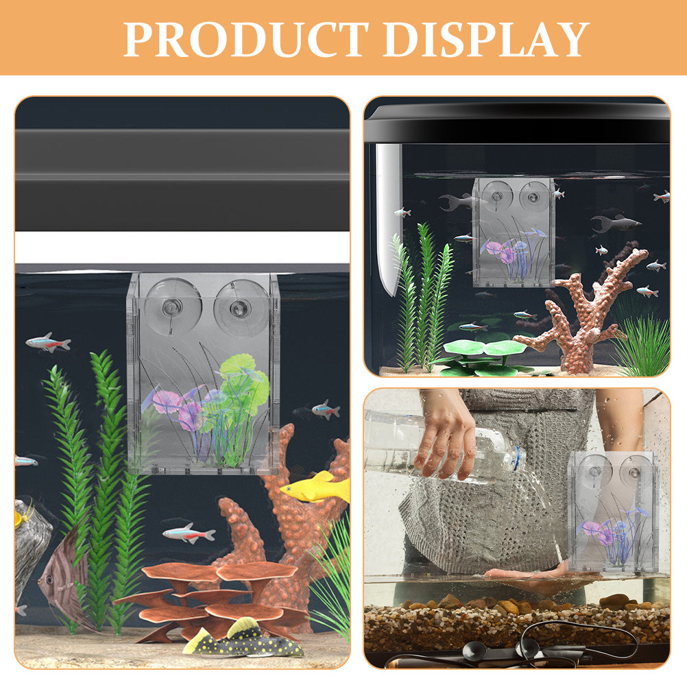 3 pezzi di supporti trasparent - Aquarium Plant Holder recensione e prezzo