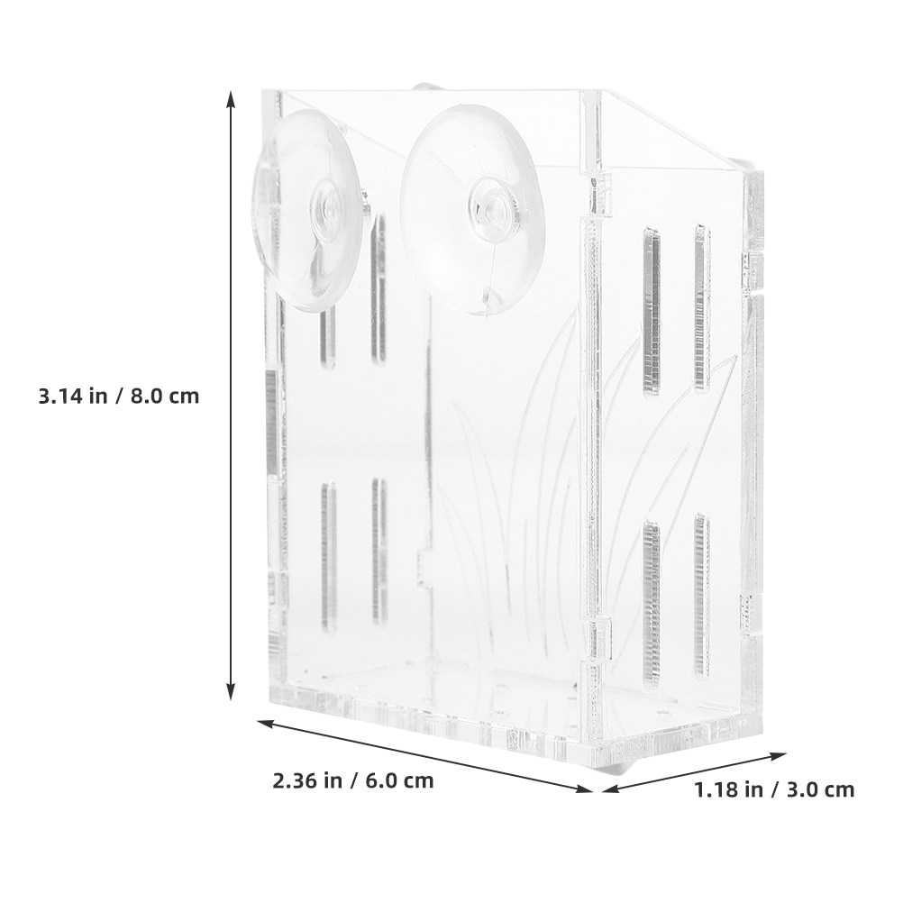 3 pezzi di supporti trasparent - Aquarium Plant Holder recensione e prezzo