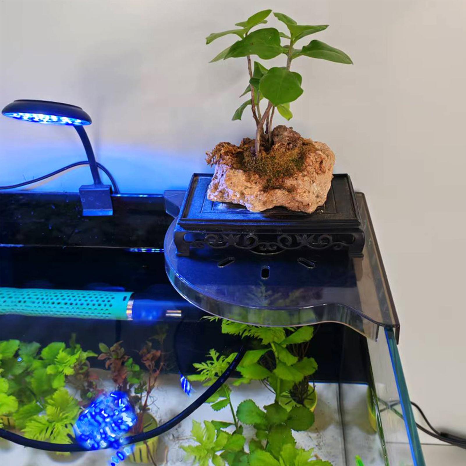 Scaffale Angolare per Acquario - Aquarium Plants Live recensione e prezzo