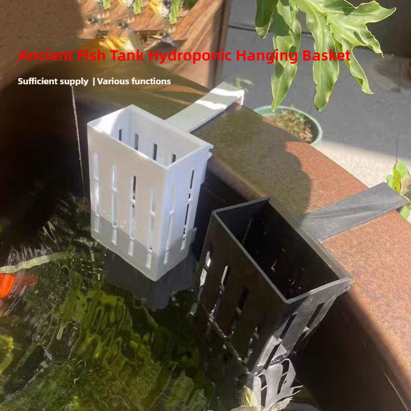 1/3 pezzi cesto per piante d'a - Aquarium Plants Live recensione e prezzo