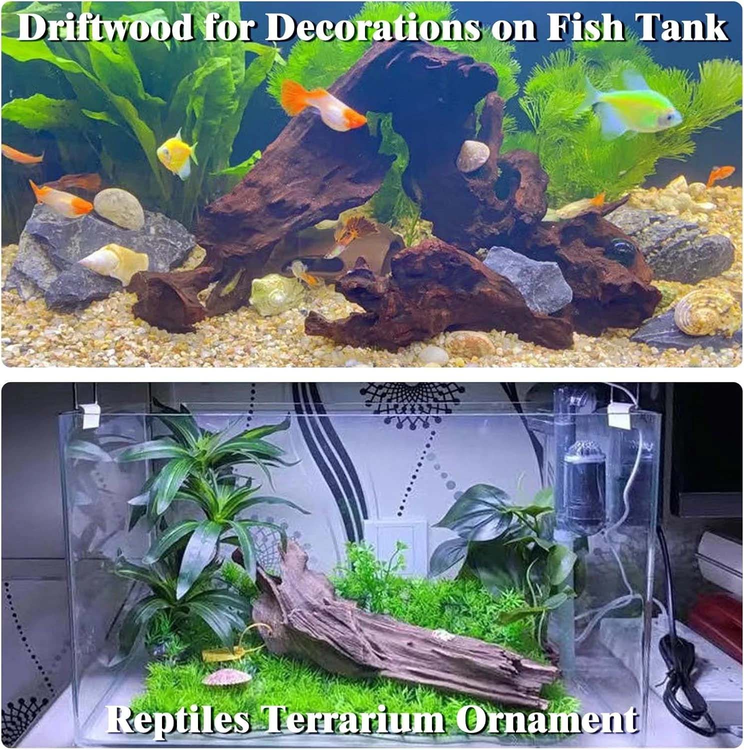 15-20CM 1Pc Legno Naturale Dec - Aquarium Plants Live recensione e prezzo