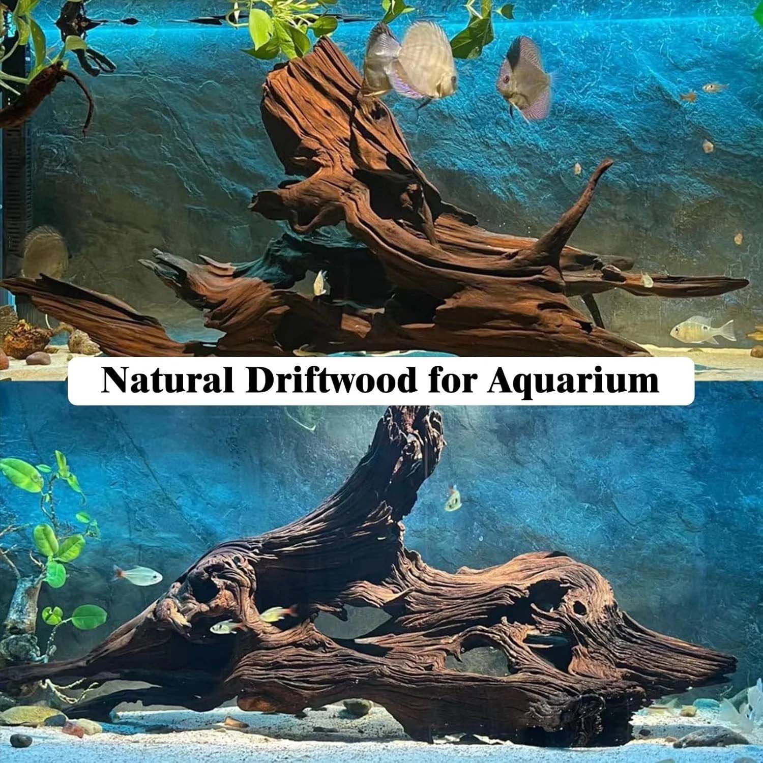 15-20CM 1Pc Legno Naturale Dec - Aquarium Plants Live recensione e prezzo
