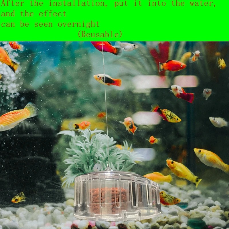Acquario pianta lumaca trappol - Planted Aquarium Cleaning recensione e prezzo