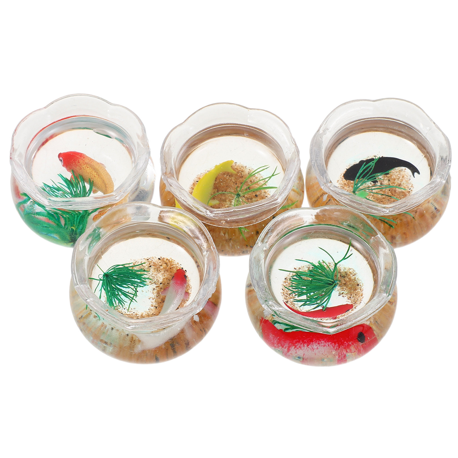 Set da 5 mini acquari per pesc - Planted Tank recensione e prezzo