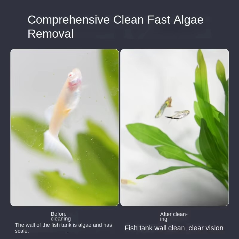 Mini spazzola magnetica quadra - Planted Aquarium Cleaning recensione e prezzo